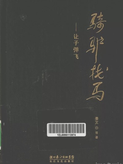 骑驴找马让子弹飞