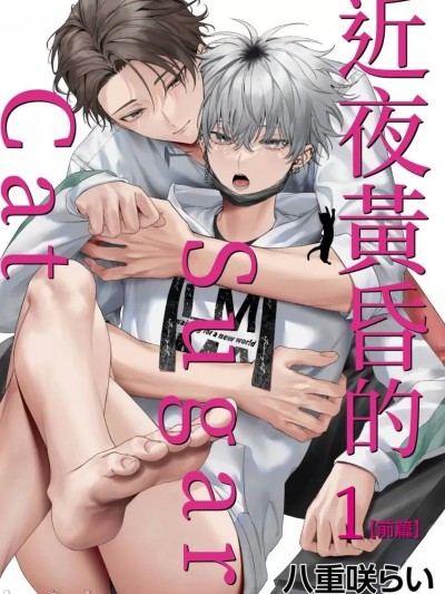 近夜黄昏的Sugar cat [八重咲らい] 宵闇シュガーキャット