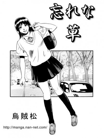 [乌贼松] 忘れな草