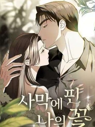 我那绽放的沙漠之花