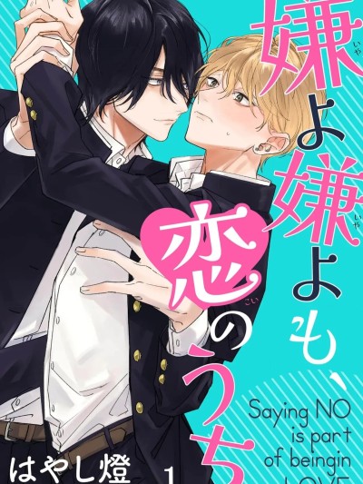 爱你在心口难开[看海汉化组][はやし灯]嫌よ嫌よも、恋のうち[中国翻訳] [DL版]