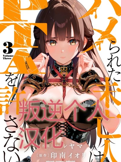 被陷害的寡妇不原谅PTA3 [マルヤマ] 【叛逆个人汉化】 ハメられた未亡人はPTAを许さない3