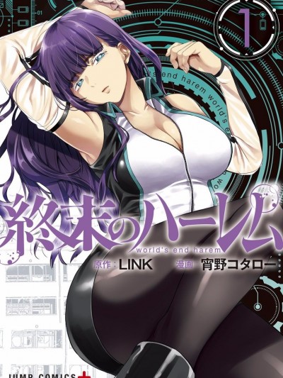 终末的后宫 [宵野コタロー] 终末のハーレム