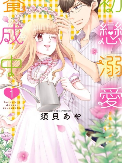 初恋溺爱养成中/初恋溺爱育成中