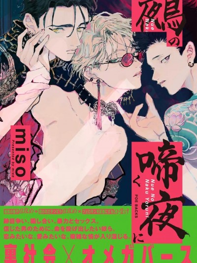 于鵺啼之夜 [冒险者公会] [miso] 鵺の啼く夜に  [中国翻訳] [DL版]