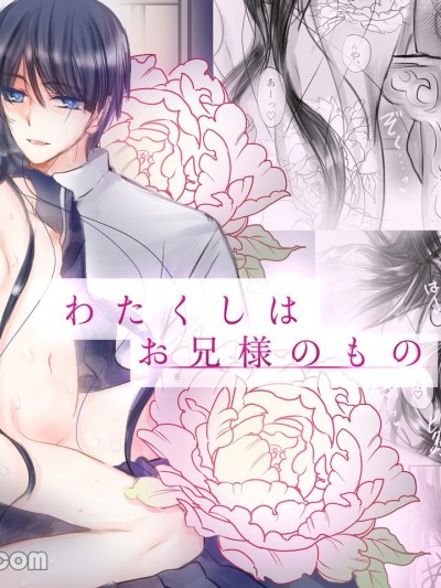 我是哥哥大人的东西