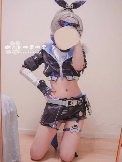 Lostwind10 – Silver Wolf