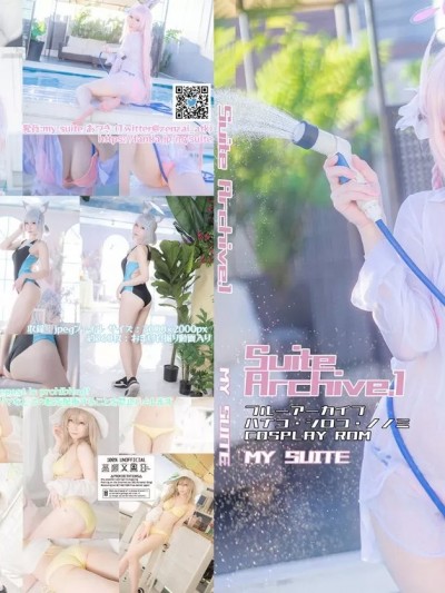 [MySuite (Atsuki)] Suite Archive 1 ブルアカ ハナコ・シロコ・ノノミ水着ROM